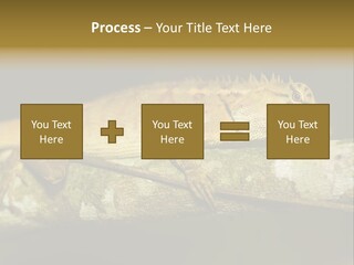 Color Eye Single PowerPoint Template