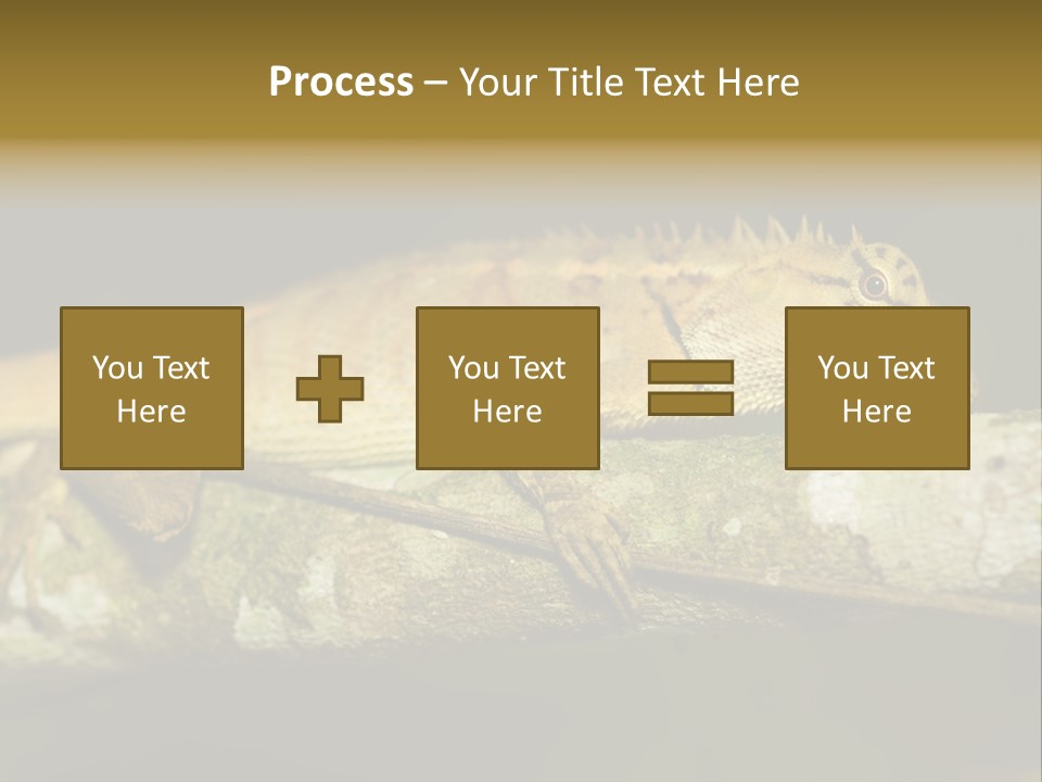 Color Eye Single PowerPoint Template