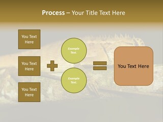 Color Eye Single PowerPoint Template