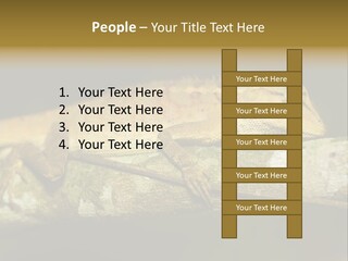 Color Eye Single PowerPoint Template