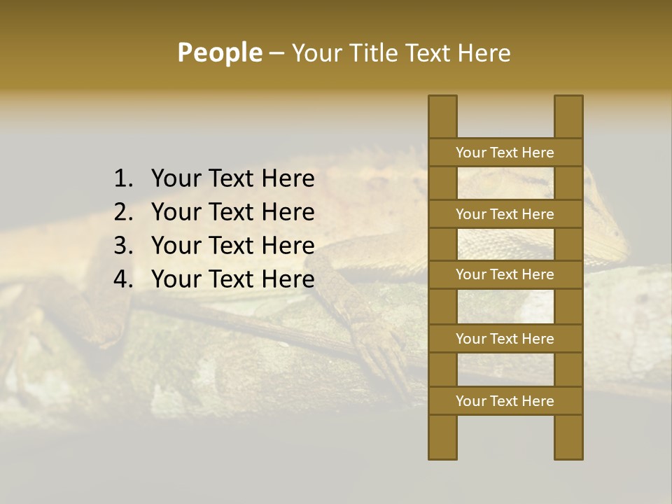 Color Eye Single PowerPoint Template
