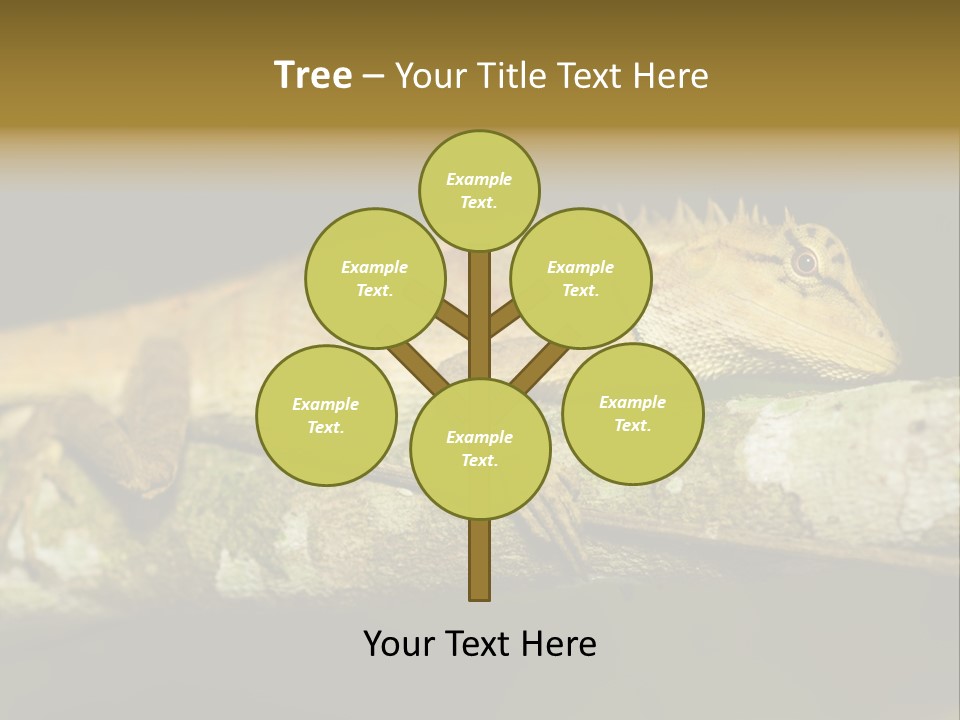 Color Eye Single PowerPoint Template