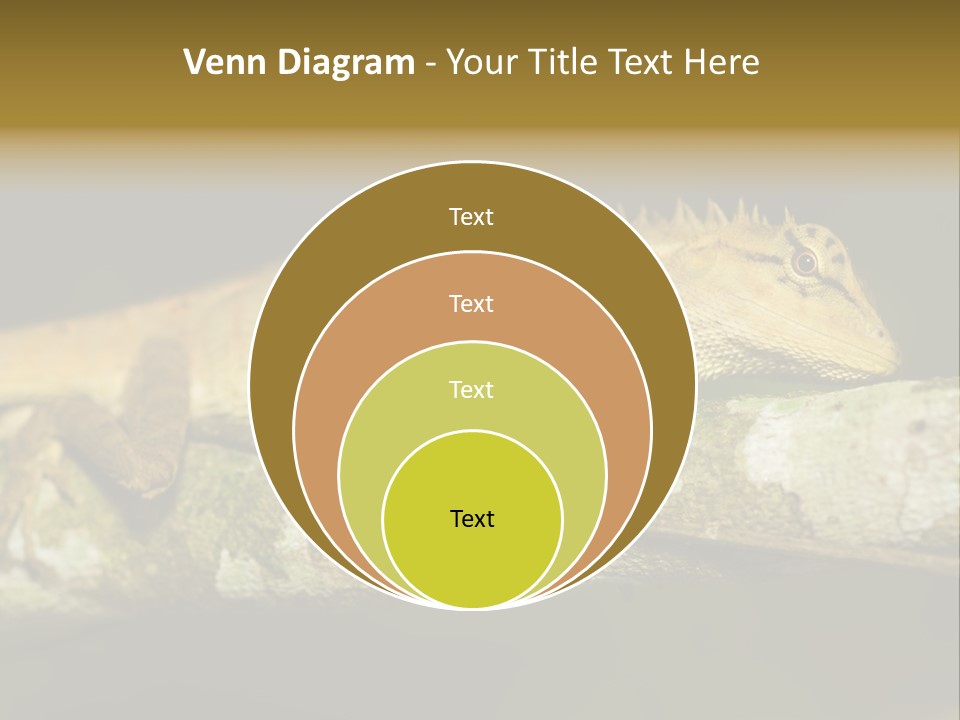 Color Eye Single PowerPoint Template
