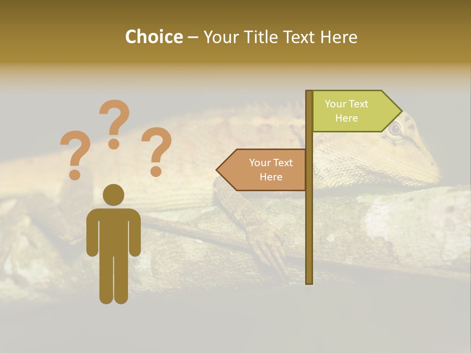 Color Eye Single PowerPoint Template