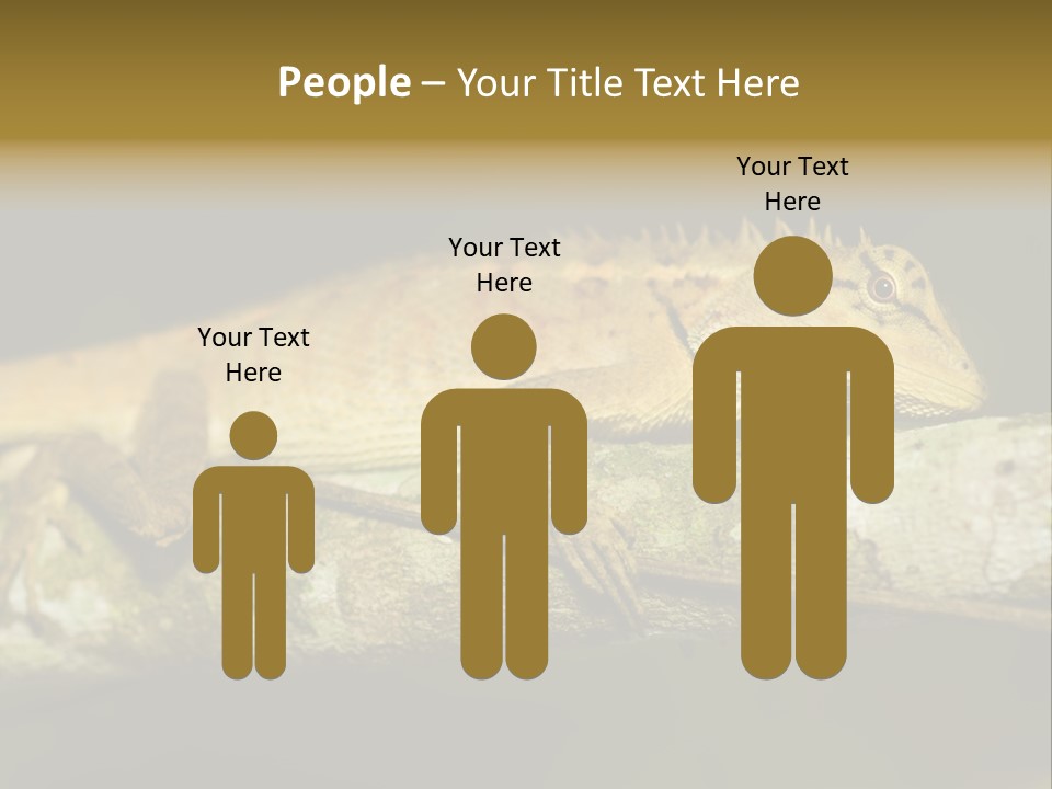 Color Eye Single PowerPoint Template