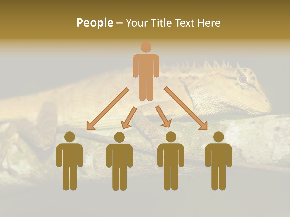 Color Eye Single PowerPoint Template