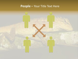 Color Eye Single PowerPoint Template