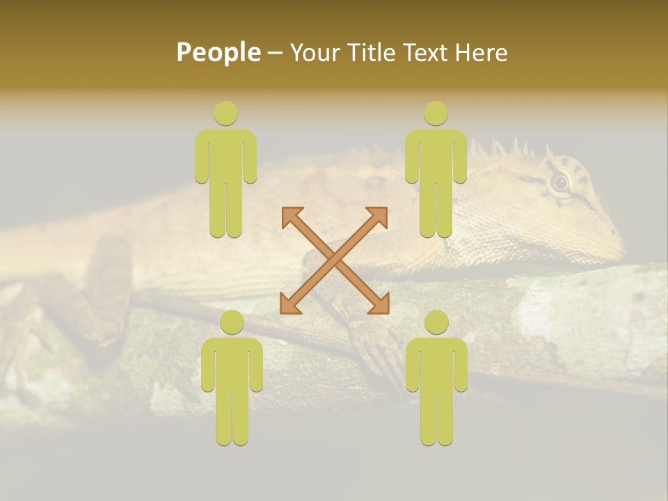 Color Eye Single PowerPoint Template