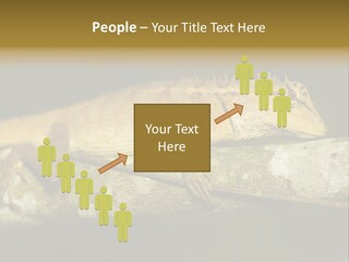 Color Eye Single PowerPoint Template