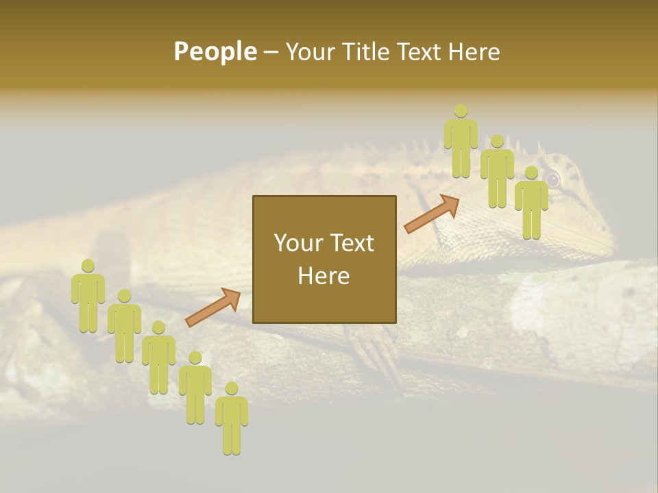 Color Eye Single PowerPoint Template