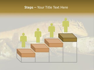 Color Eye Single PowerPoint Template