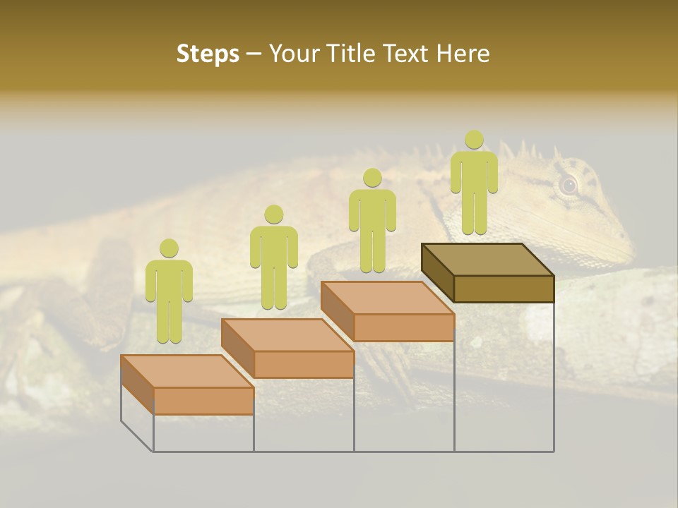 Color Eye Single PowerPoint Template