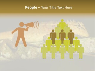 Color Eye Single PowerPoint Template