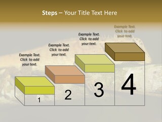 Color Eye Single PowerPoint Template