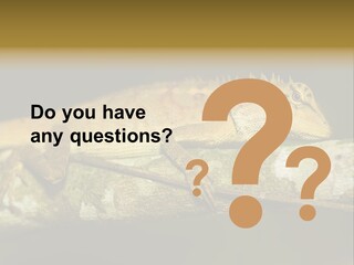 Color Eye Single PowerPoint Template