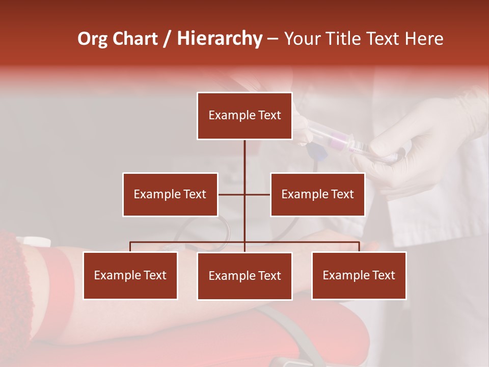 Donation Body Volunteer PowerPoint Template