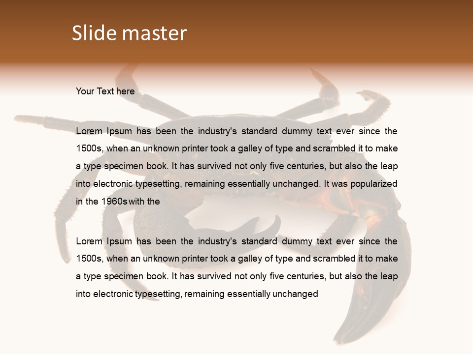 A Crab Is Shown On A White Background PowerPoint Template