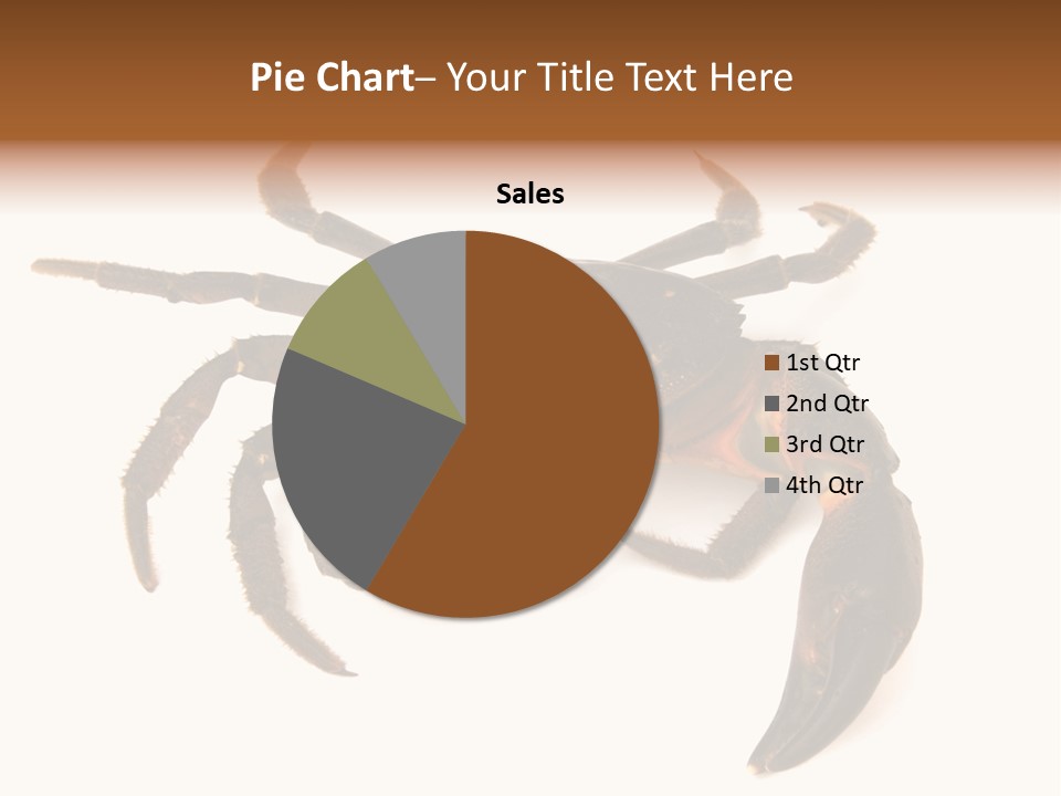 A Crab Is Shown On A White Background PowerPoint Template