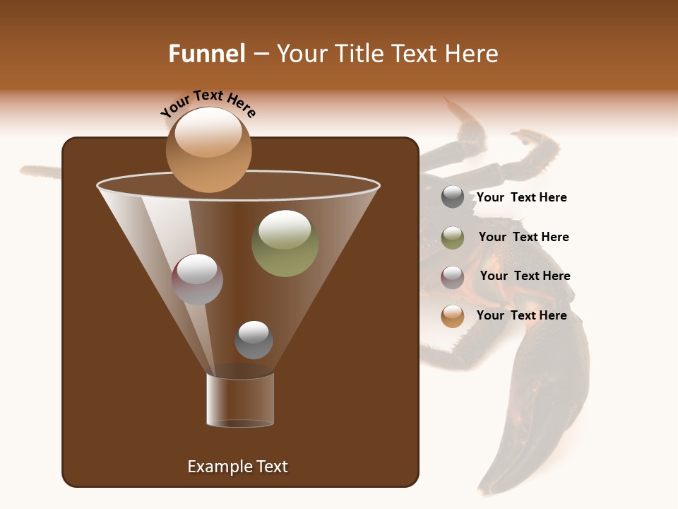 A Crab Is Shown On A White Background PowerPoint Template