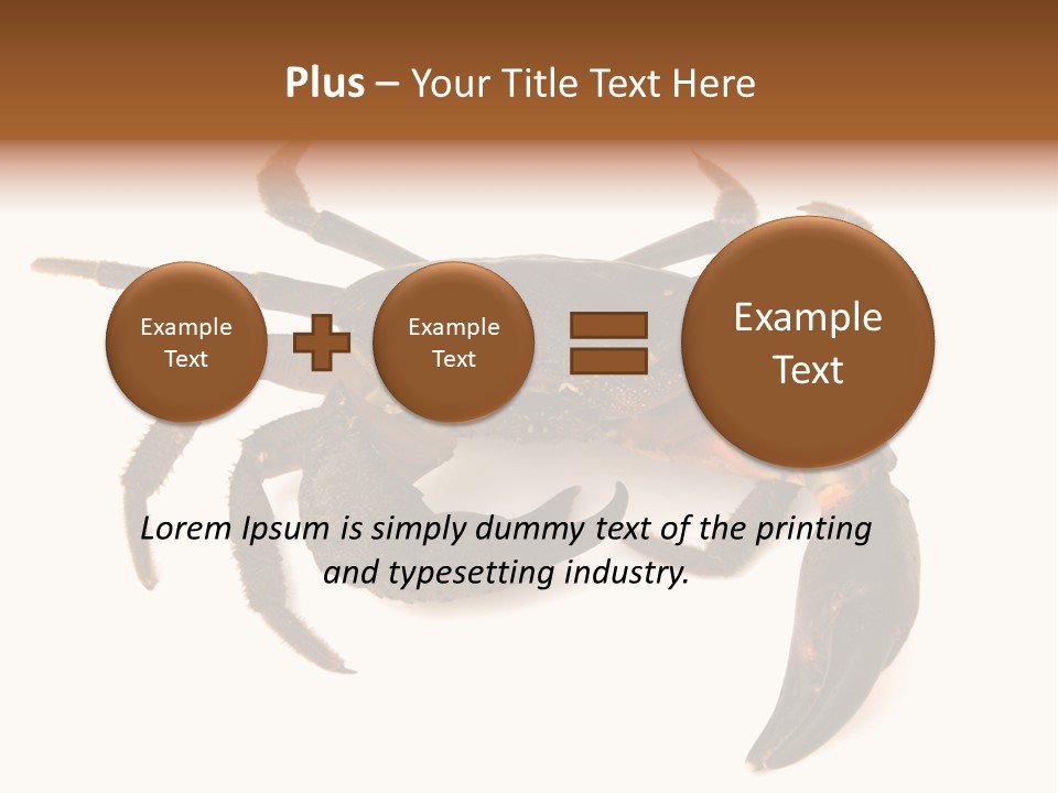 A Crab Is Shown On A White Background PowerPoint Template