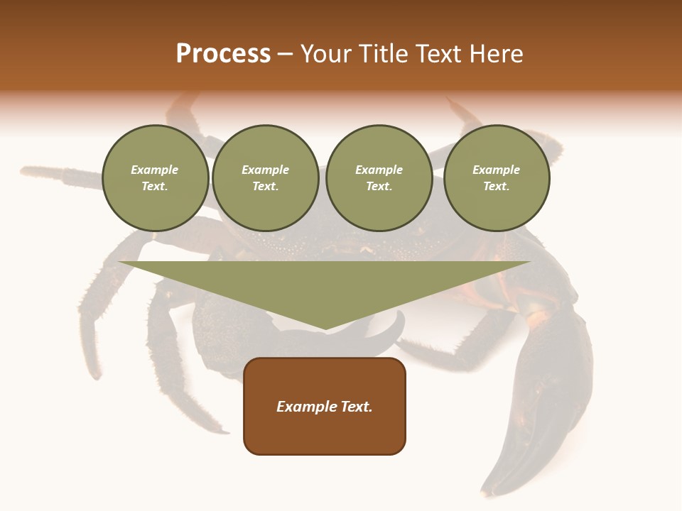 A Crab Is Shown On A White Background PowerPoint Template