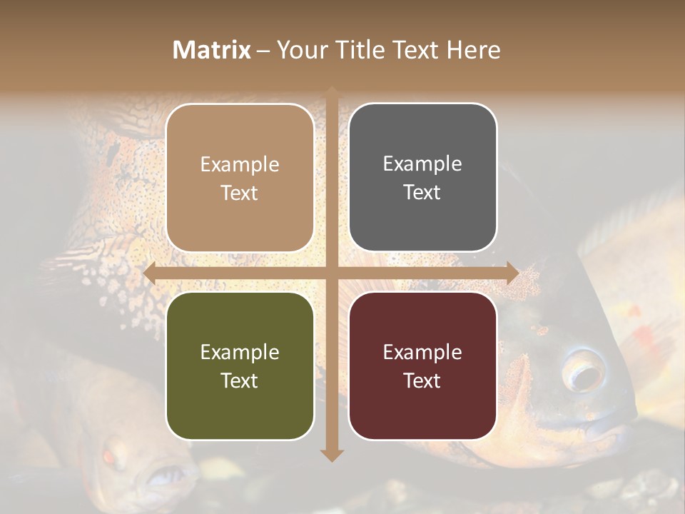 Ocean Unicorn Aquarium PowerPoint Template