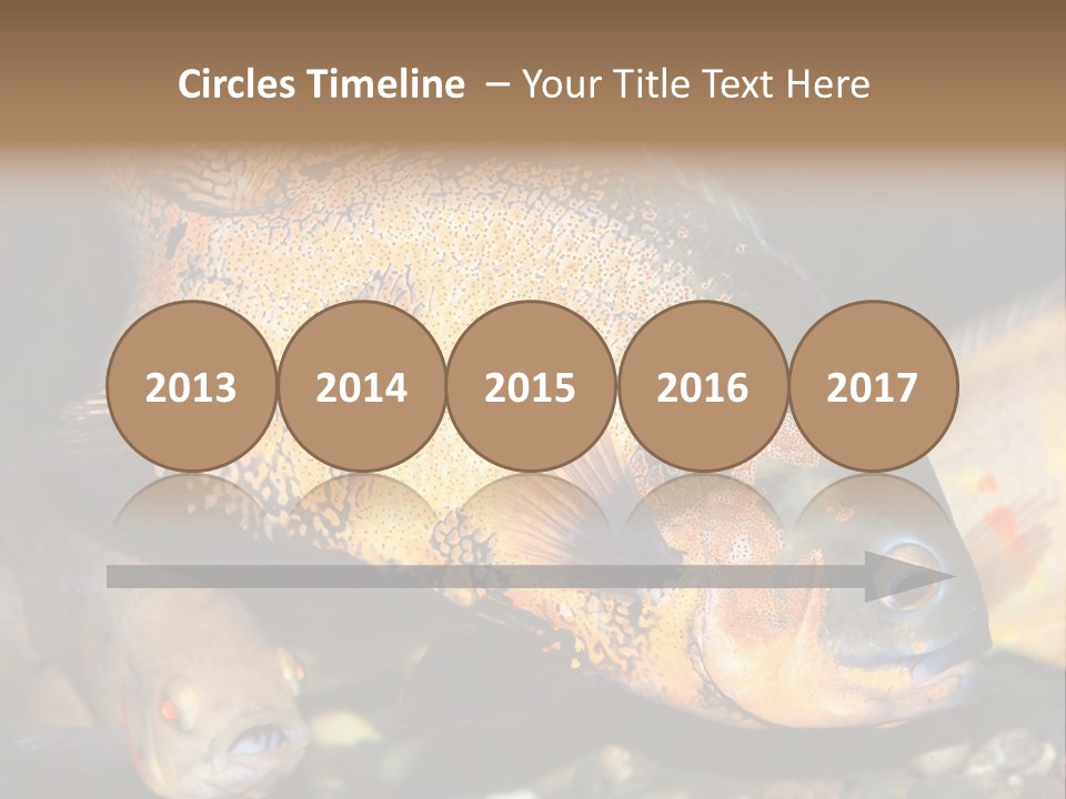 Ocean Unicorn Aquarium PowerPoint Template