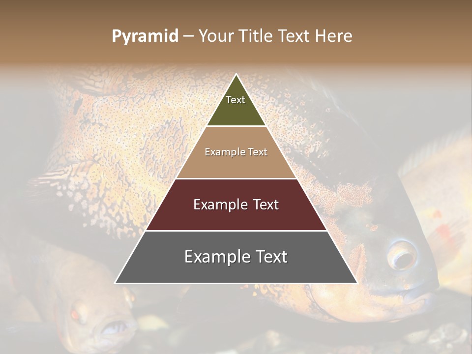 Ocean Unicorn Aquarium PowerPoint Template