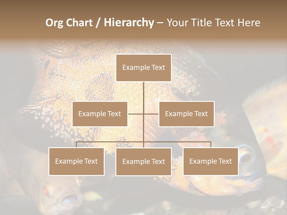 Ocean Unicorn Aquarium PowerPoint Template