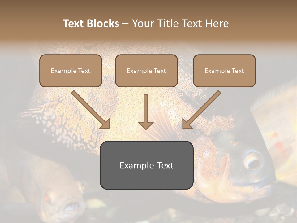 Ocean Unicorn Aquarium PowerPoint Template