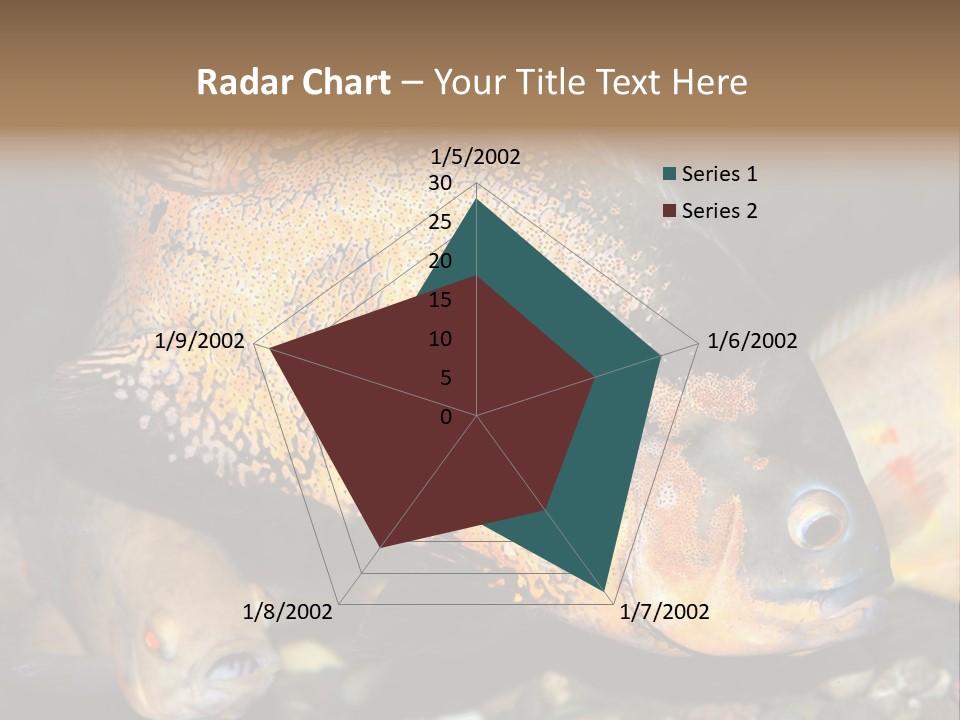 Ocean Unicorn Aquarium PowerPoint Template