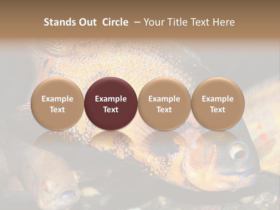 Ocean Unicorn Aquarium PowerPoint Template