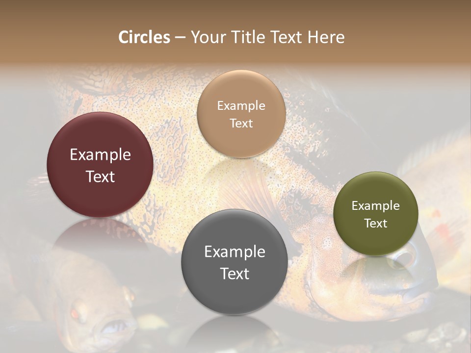 Ocean Unicorn Aquarium PowerPoint Template