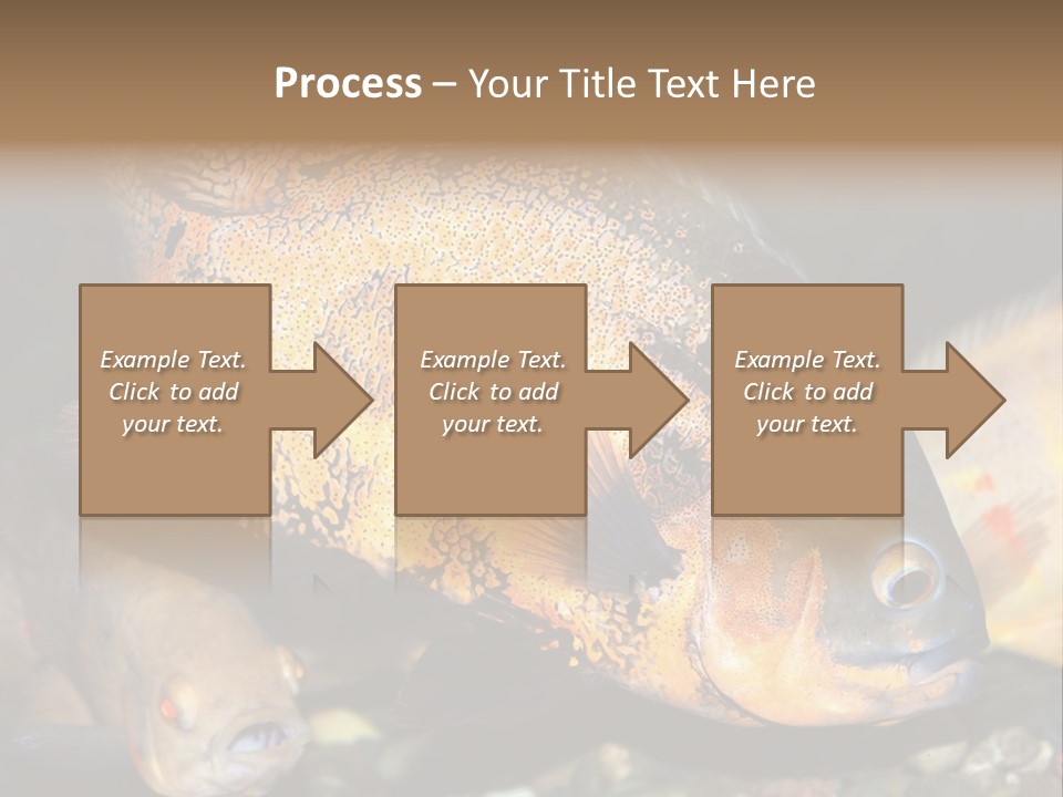 Ocean Unicorn Aquarium PowerPoint Template