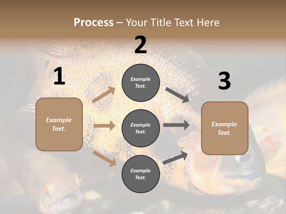 Ocean Unicorn Aquarium PowerPoint Template