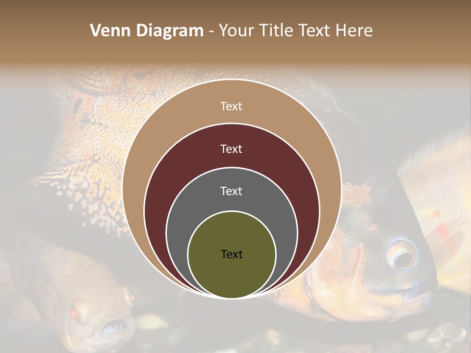 Ocean Unicorn Aquarium PowerPoint Template