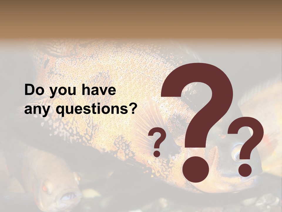 Ocean Unicorn Aquarium PowerPoint Template