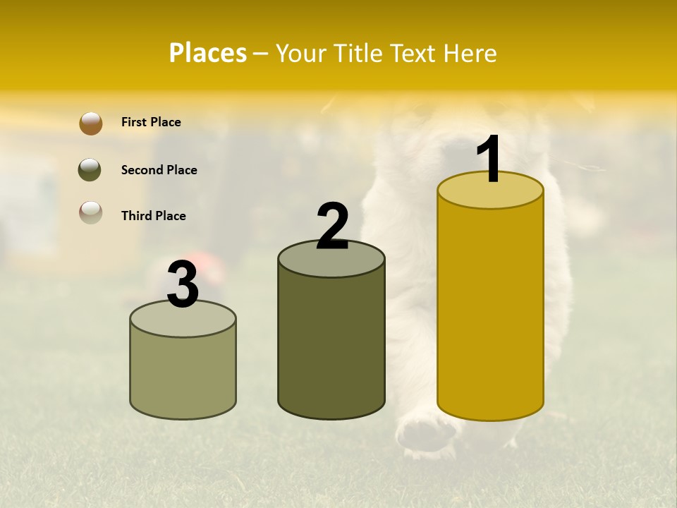 Garden Domestic View PowerPoint Template