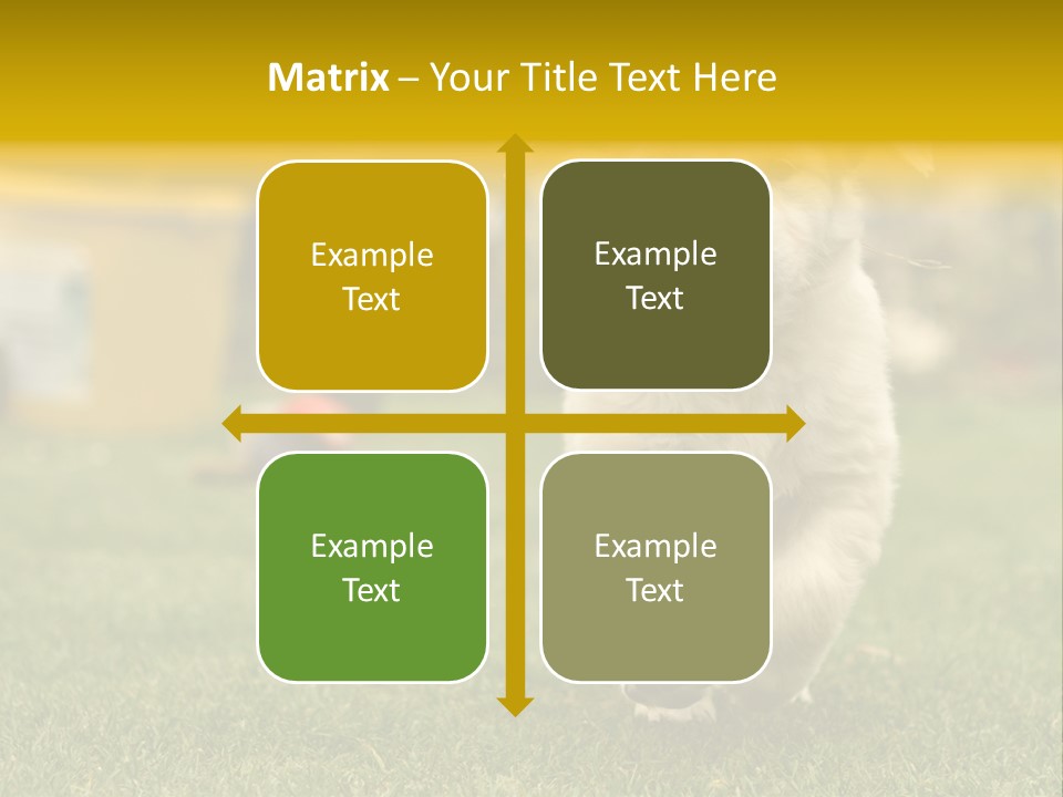 Garden Domestic View PowerPoint Template