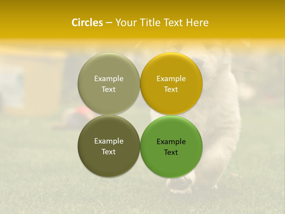 Garden Domestic View PowerPoint Template