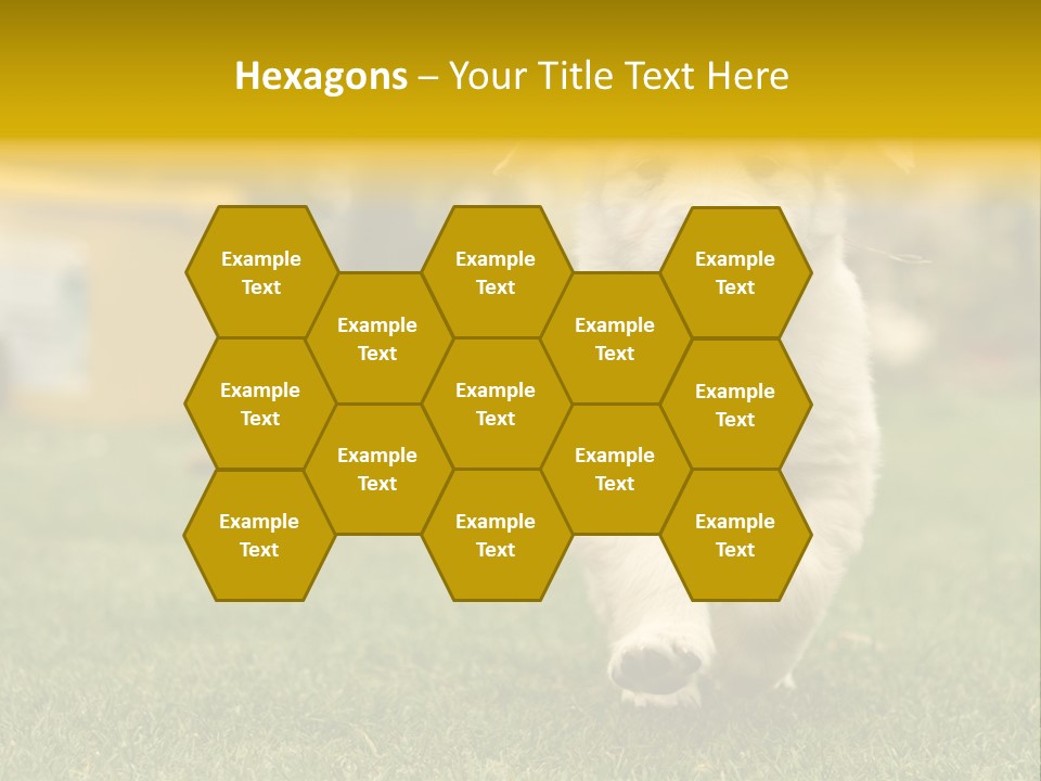 Garden Domestic View PowerPoint Template