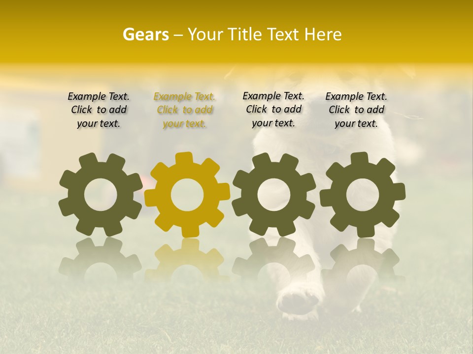 Garden Domestic View PowerPoint Template