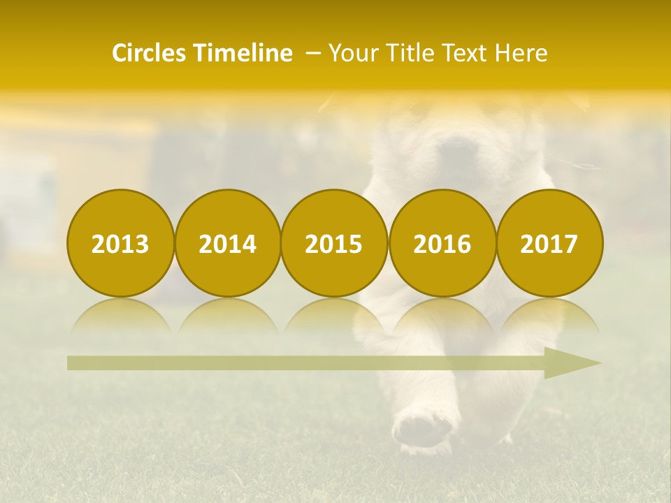 Garden Domestic View PowerPoint Template