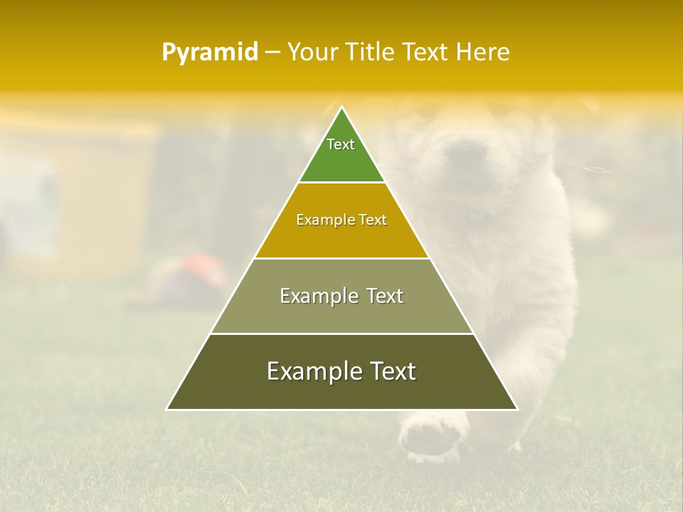 Garden Domestic View PowerPoint Template