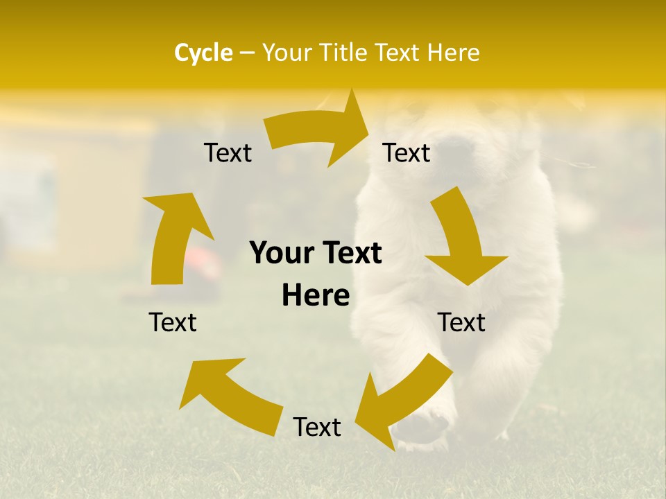 Garden Domestic View PowerPoint Template