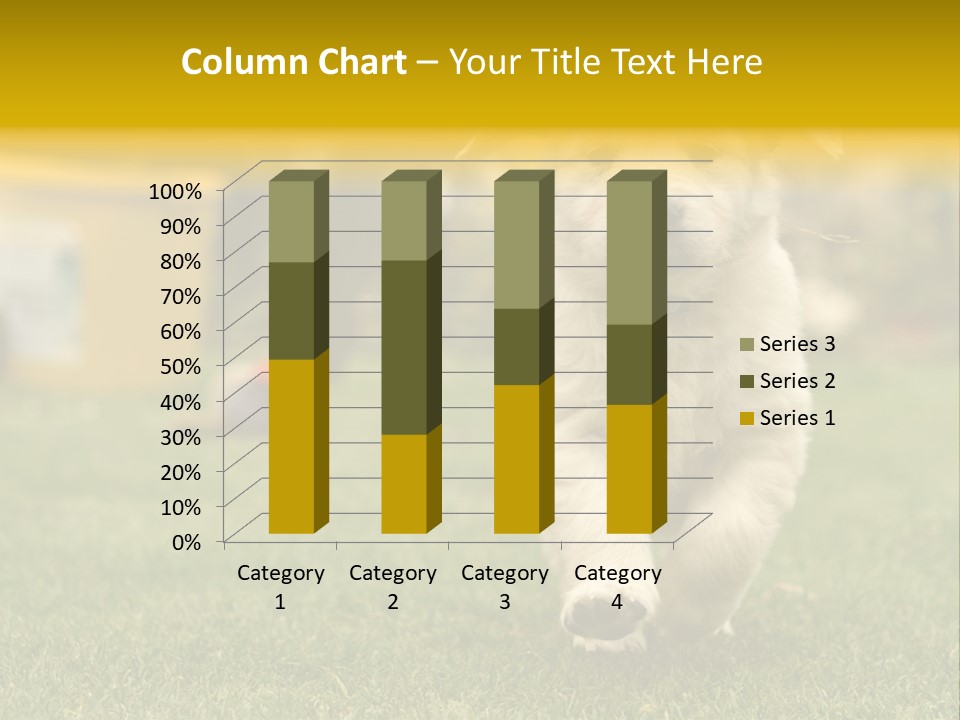 Garden Domestic View PowerPoint Template