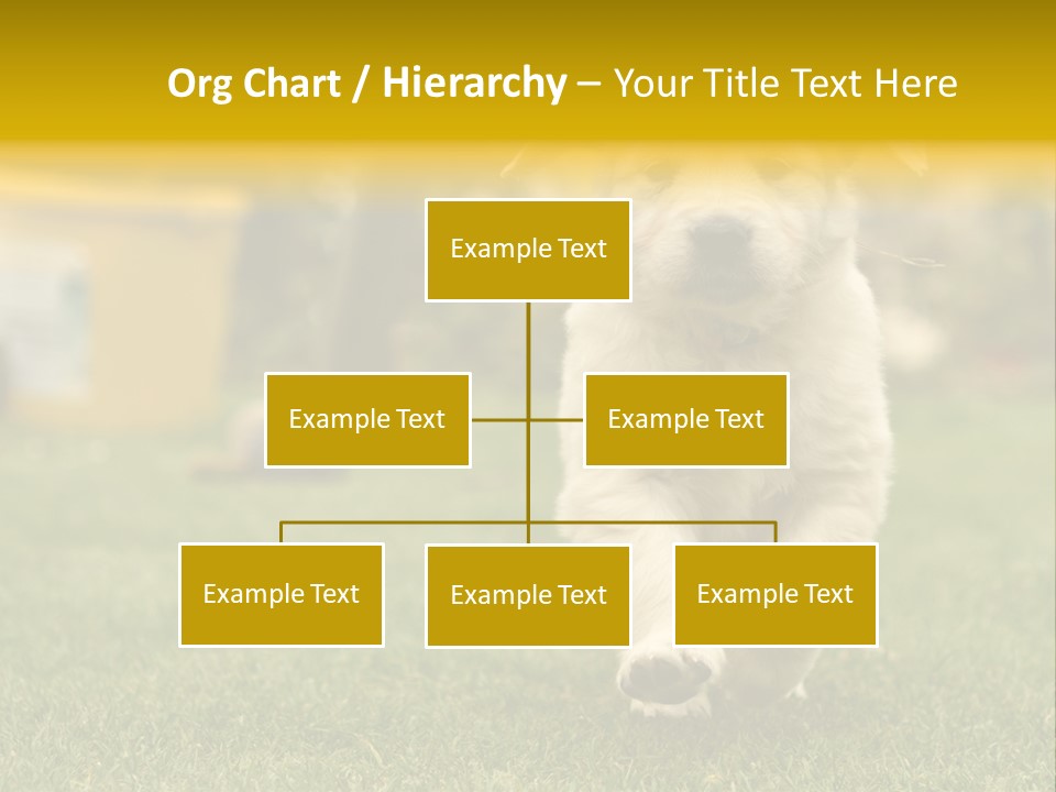 Garden Domestic View PowerPoint Template