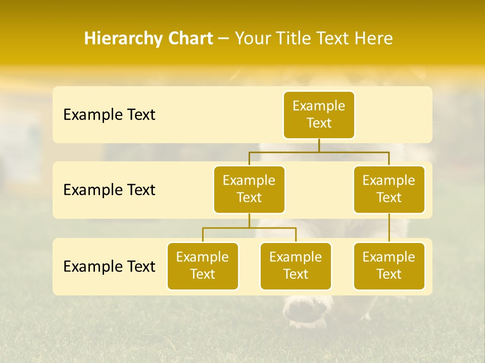 Garden Domestic View PowerPoint Template