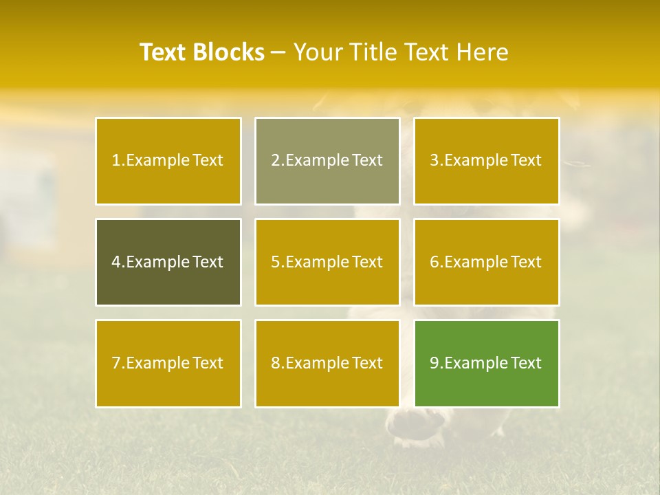 Garden Domestic View PowerPoint Template