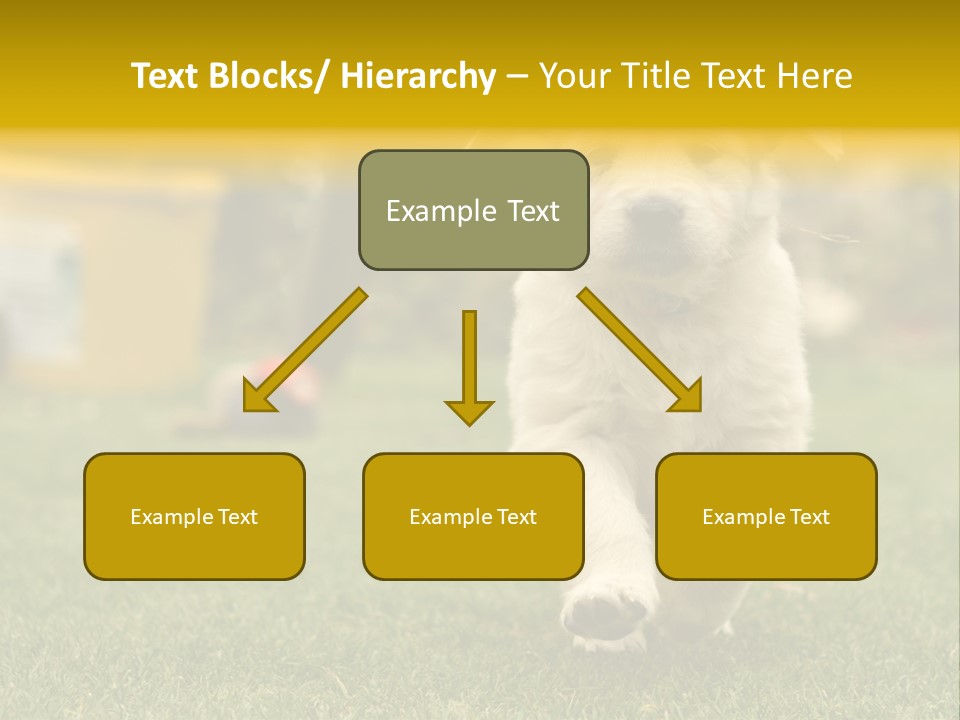 Garden Domestic View PowerPoint Template